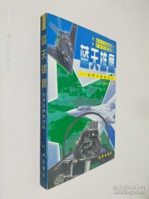 蓝天雄鹰:世界王牌航空队