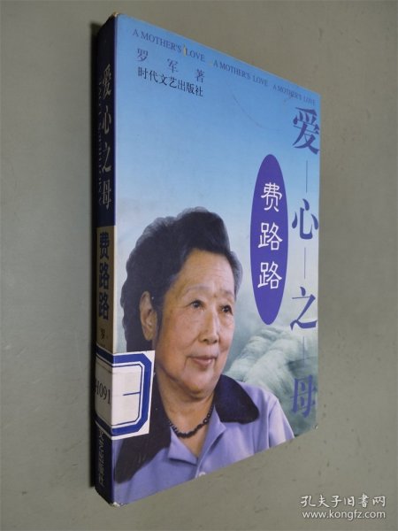 爱心之母费路路:中国第一位女法官世纪传奇录