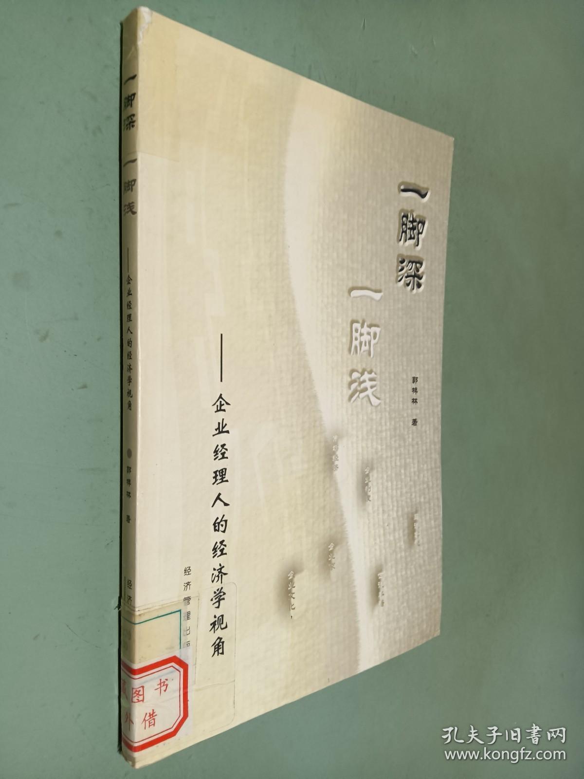 一脚深一脚浅：企业经理人的经济学视角
