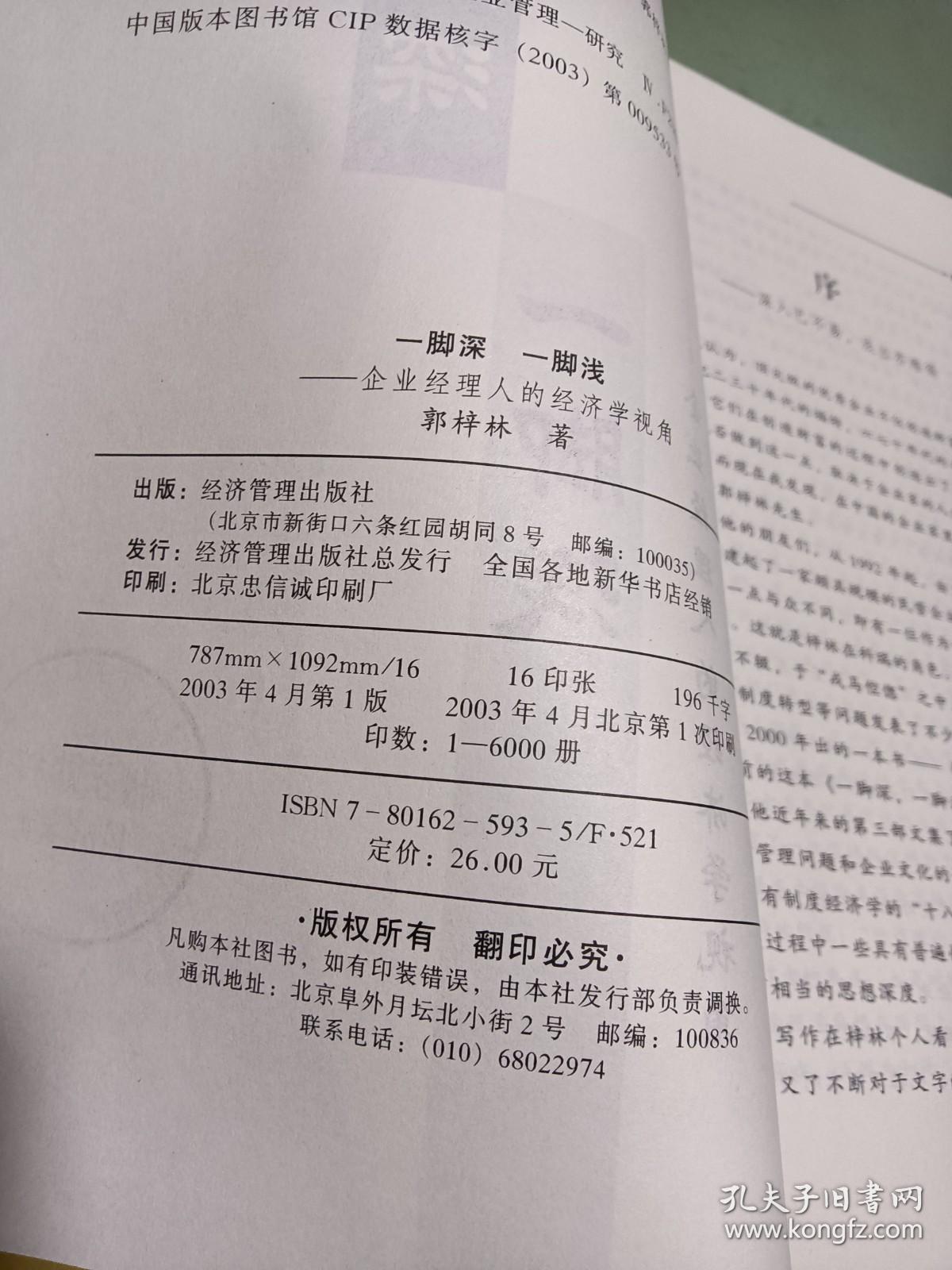 一脚深一脚浅：企业经理人的经济学视角