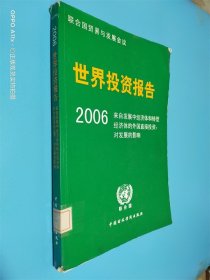 世界投资报告2006