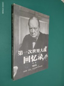 第一次世界大战回忆录（第二卷） 1915