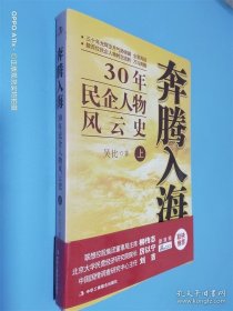 奔騰入海（上）30年民企人物風云史