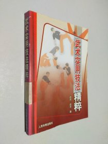 武術(shù)實(shí)用技法精粹