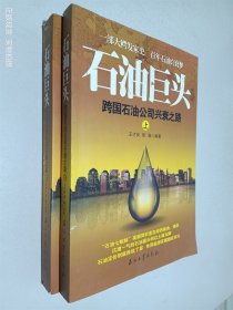 石油巨头：跨国石油公司兴衰之路（上下）