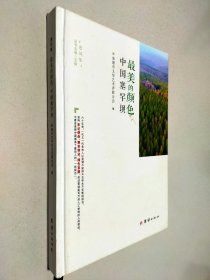 最美的颜色 中国塞罕坝