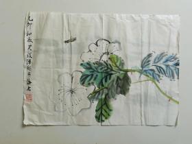 潘君诺(潘然)   花卉草虫