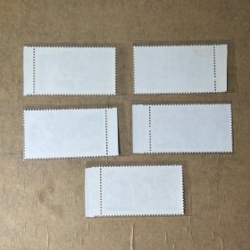 T18工农兵上大学5全带厂铭 成套全新邮票邮X41