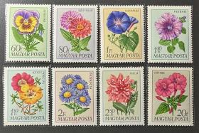 匈牙利邮票1968年    庭院花卉  8全新