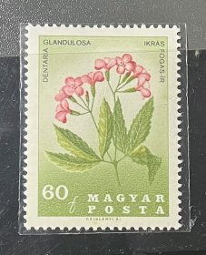 匈牙利1967年 纪念植物学家帕尔·基塔比尔与花卉 1枚新