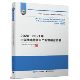 2020—2021年中国战略性新兴产业发展蓝皮书