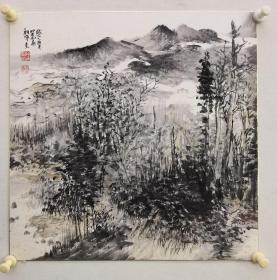 常朝晖 水墨山水50x50cm卡板 一手货源放心捡漏 常朝晖，1968年生于青岛即墨市，1991年毕业于山东艺术学院。中国美术家协会会员、山东画院高级画师，山东省美术馆专职画家，文化部青联委员。现就读于中国画研究院龙瑞工作室。