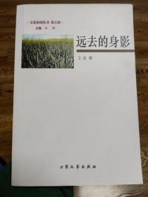 远去的背影（三国人物文学传记）