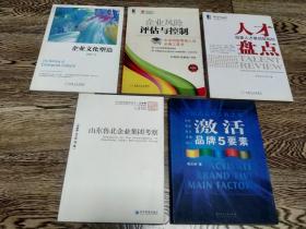 5本管理类图书合售：企业文化塑造、激话品牌5要素、企业风险评估与控制、人才盘点、山东鲁北集团考察