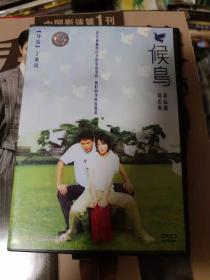 候鸟DVD 正版 刘若英主演