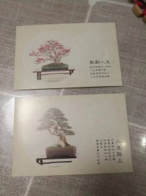 友谊长青明信片（10张一套）