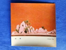 80年代盆景奇石艺术图片远望（海母石）