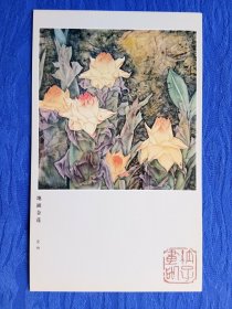 明信片花鸟国画图片地涌金莲作者金纳清华大学美术学院副教授研究生导师趣味纸制品收藏传承历史文化