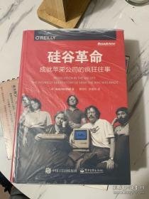 硅谷革命：成就苹果公司的疯狂往事