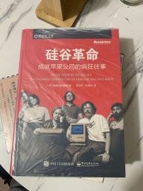 硅谷革命：成就苹果公司的疯狂往事