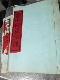 《 灵山何氏十二修族谱》世系一册，《 灵山何氏十四修族谱》世系一册。详情待考，2006年以后，江西 抚州。