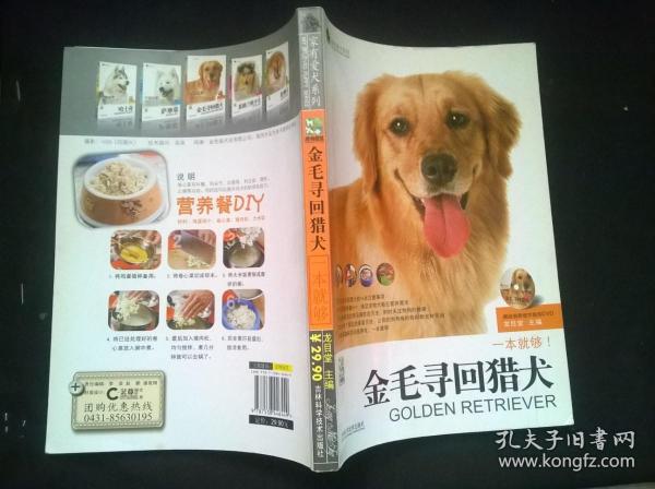 金毛寻回猎犬