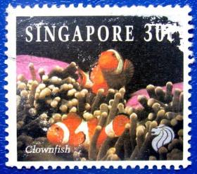 小丑鱼--新加坡邮票--早期外国邮票甩卖--实拍--包真