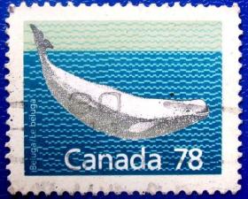 抹香鲸，鲸鱼--加拿大邮票--早期外国邮票甩卖--实拍--包真，