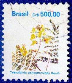 野花--巴西邮票--早期外国邮票甩卖--实拍--包真，