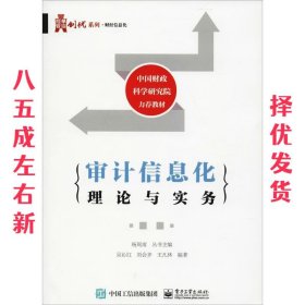 审计信息化理论与实务 