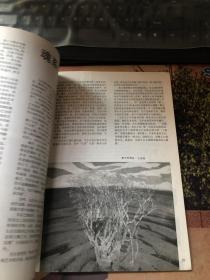 江苏画刊 1991 9