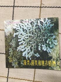 初中植物学教学参考图册（3）藻类、菌类和地衣植物