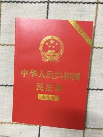 中华人民共和国民法典  大字版