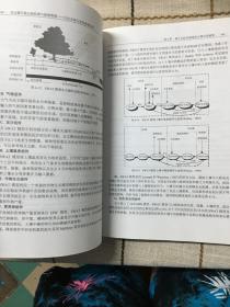 非点源污染过程机理与控制管理