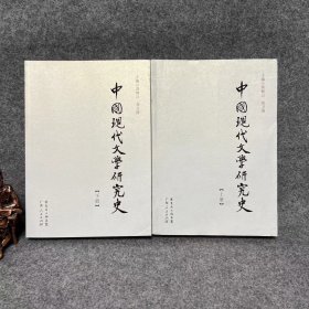 中国现代文学研究史 上下两册全