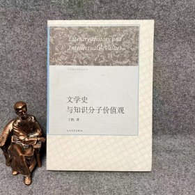中国新文学研究丛书：文学史与知识分子价值观