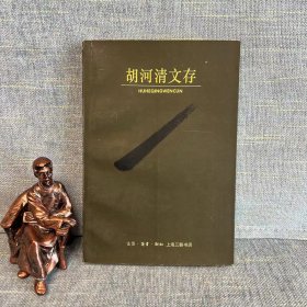 胡河清文存 王晓明等编