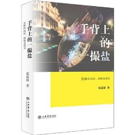 手背上的一撮盐:美味的沉淀、漂移及裂变9787545819533正版新书