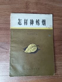 怎样种烤烟
