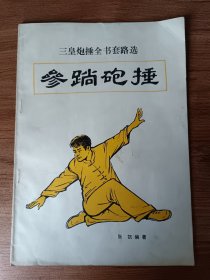 三皇炮捶全书套路选