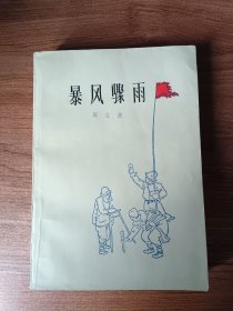 暴风骤雨