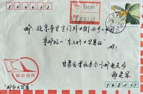 贴1元四季桂邮票，盖1995年7月30日甘肃渭源748201日戳的快件实寄封。