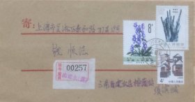 盖1989年3月29日云南建水654300日戳的挂号实寄封。