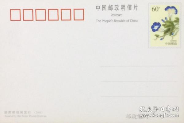 《牵牛花》普通邮资明信片（空白）