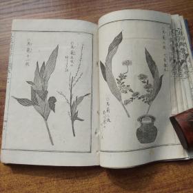 线装古籍     和刻本  日本原版插花艺术书籍 《诸流秘传 生花独稽古》卷2  内收各式插花图版及解说，铜版印刷，图版尤为精致   日本花艺花道