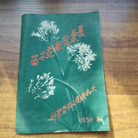 稀见  日本原版 《夏菊宿根 花木苗》   1954   大和农园山本营业所