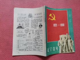 辽宁青年 1981年13期