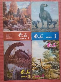 化石  1982年  第1、2、3、4期