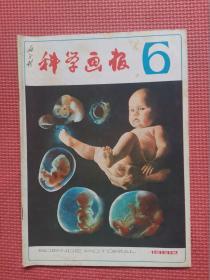 科学画报  1982年第6期