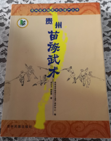 贵州苗族武术（贵州省非物资文化遗产丛书）